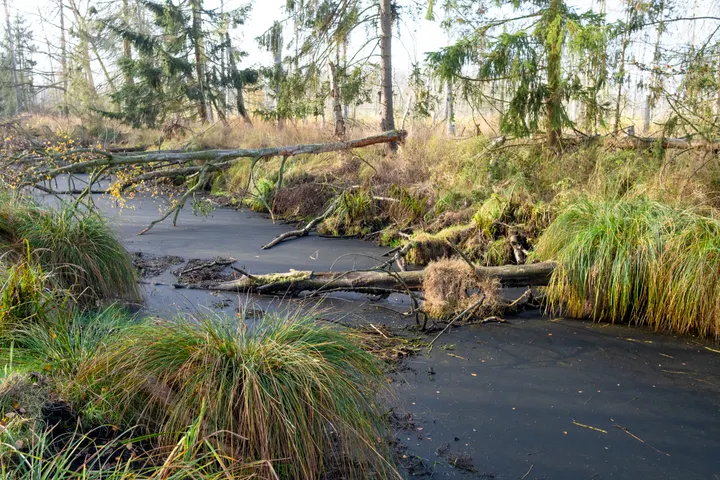 Wasserkanäle im Anklamer Stadtbruch