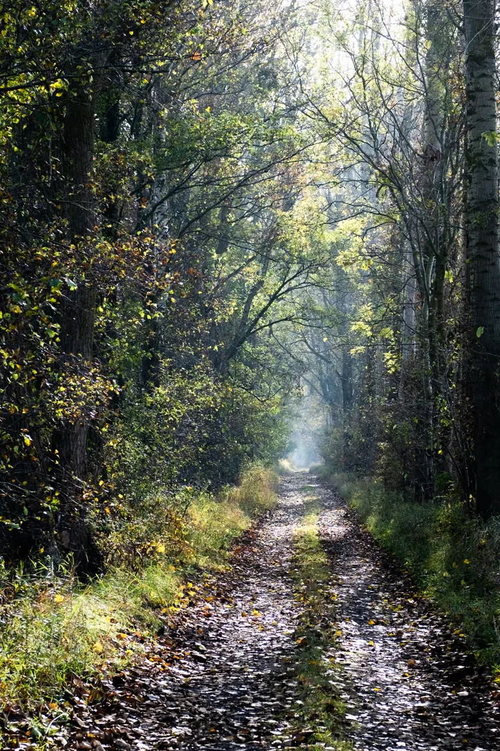 Weg von Grünberg zum Stadtbruch