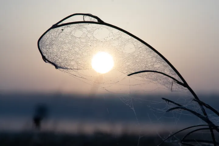 Sonnenaufgang am Haff