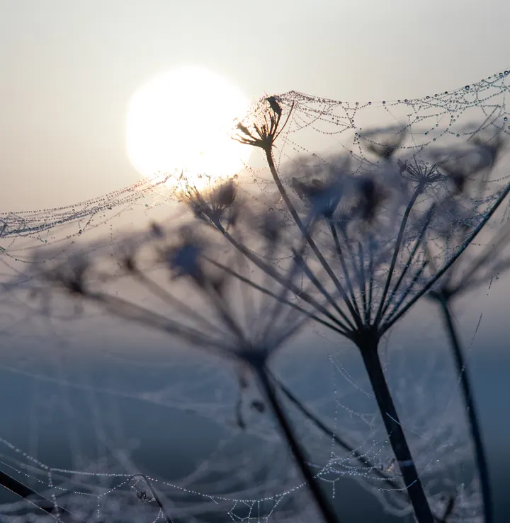 Sonnenaufgang am Haff