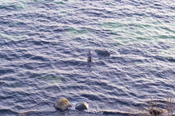 Angler in der Ostsee