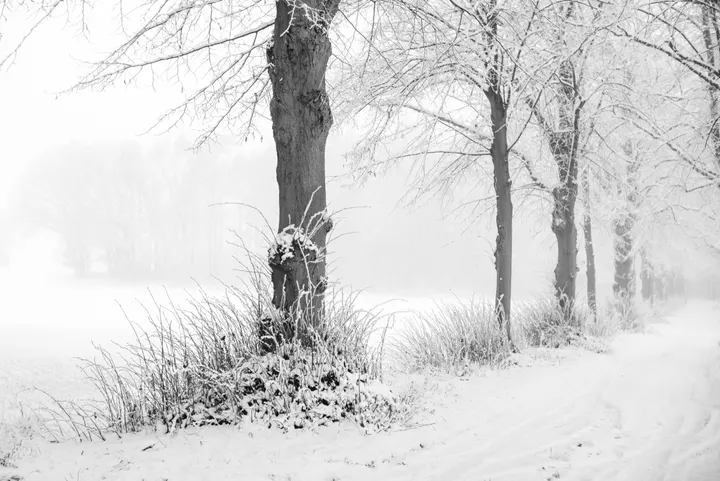 Winter in Annenwalde