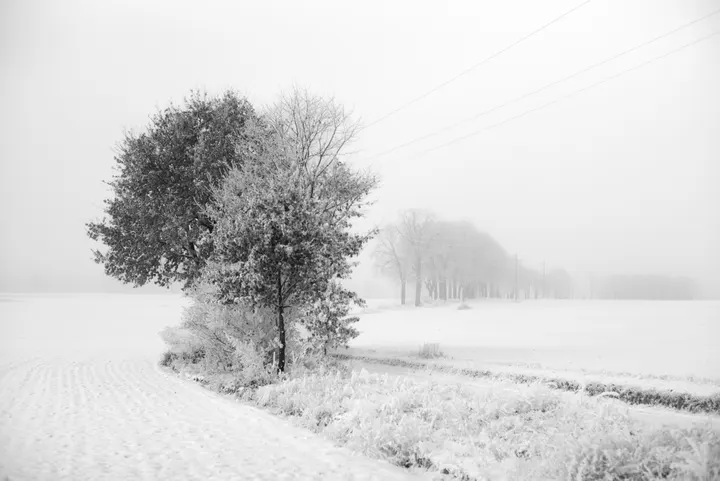 Winter in Annenwalde