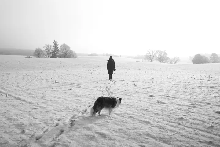 Winter in Annenwalde