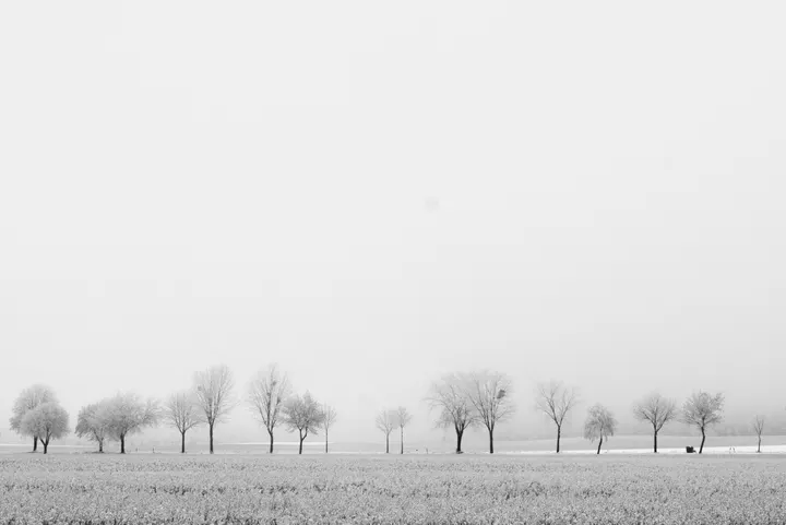 Winter in Annenwalde