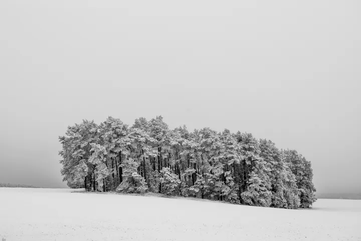 Winter in Annenwalde