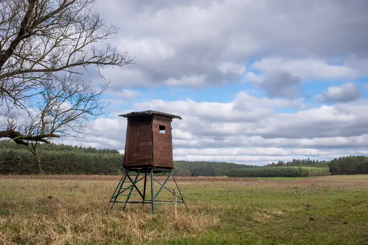 Zwischen Wald und Feld