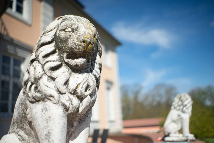 Löwenstatuen - unschöne verzerrte Unschärfe rechts unten beim Löwenkopf