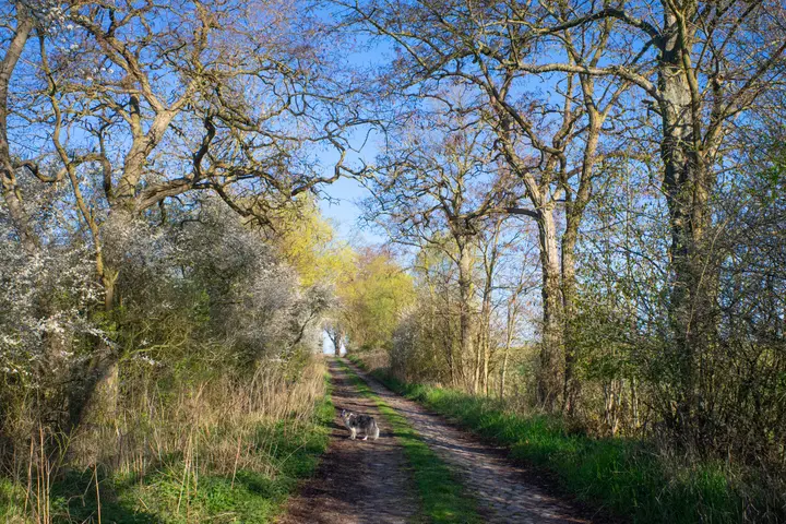 Flektogon: Abgelendet - überzeugende Schärfeleistung