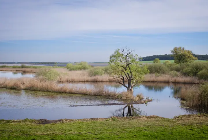 Blick vom Beobachtungsturm bei Ketzür