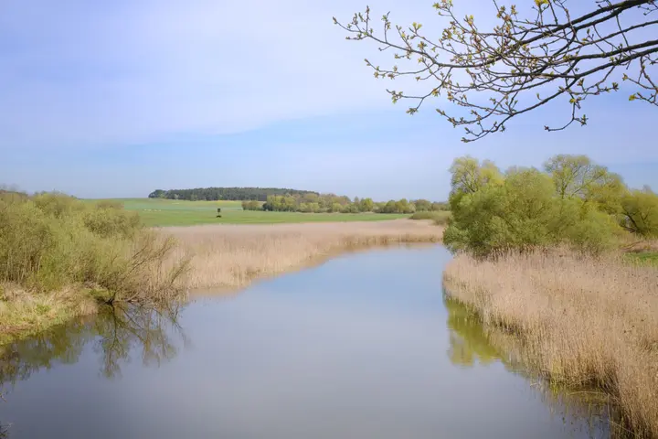 Zwischen mittlerem und oberen Beetzsee