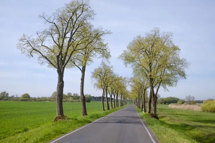 Ruhige Landstraße von Lünow nach Mötzow/Radewege