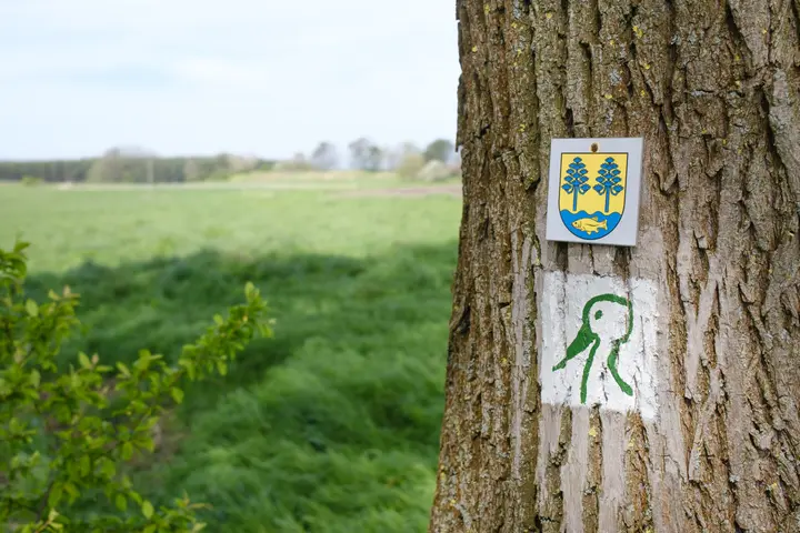 Wegweiser Storchenweg und 'Rundwanderweg Beetzseeheide'