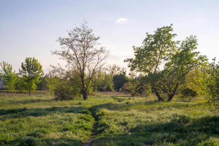 Abgeblendet brauchbar, aber wozu?