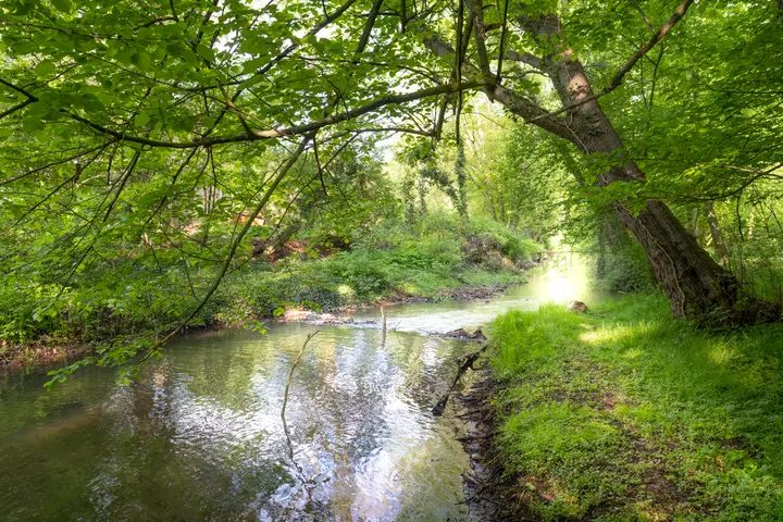 Die Sepenitz am gleichnamigen Ort