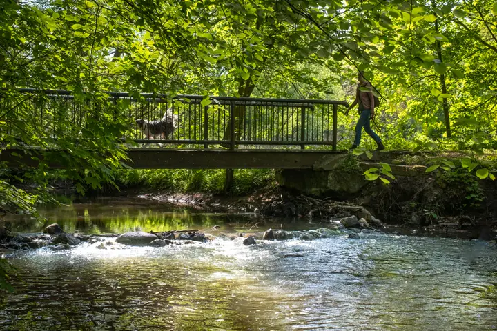Brücke über die Stepenitz an der Klosterkirche