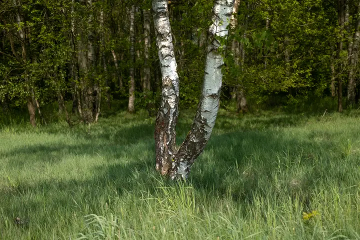Spaziergang im Marienfließ