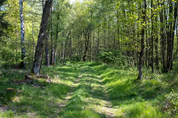 Spaziergang im Marienfließ