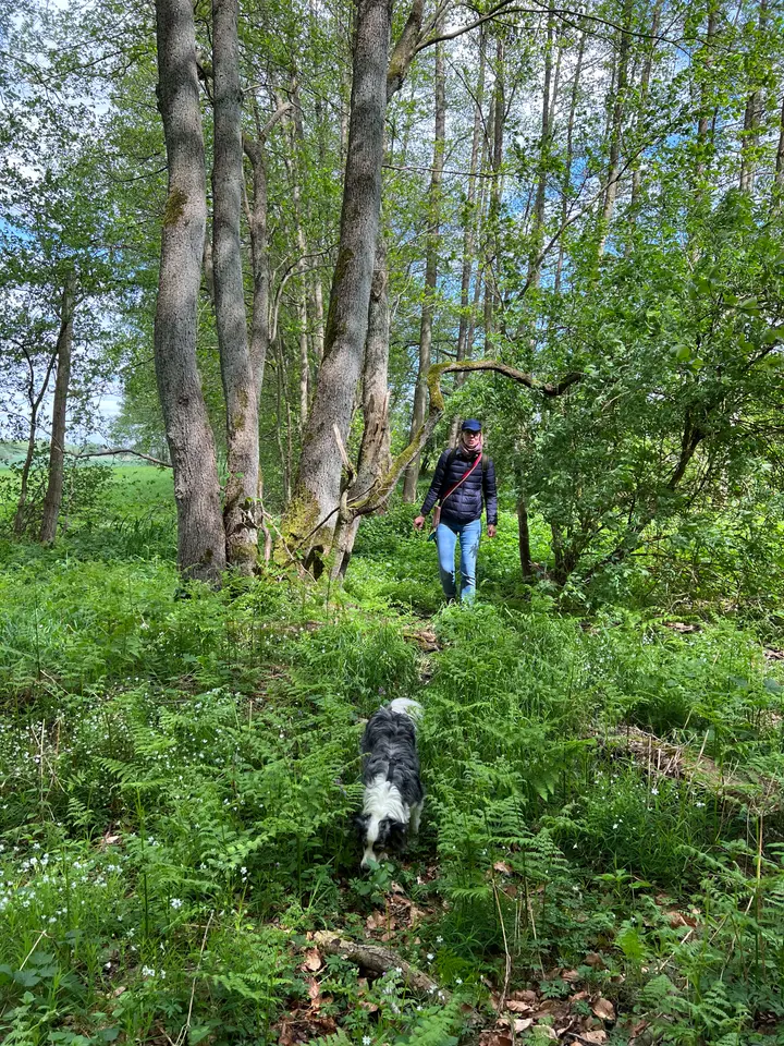 Über den Bahndamm zurück zum Forstweg