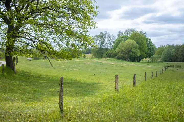 Ländliche Idylle in hügeliger Landschaft