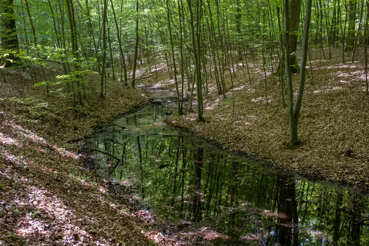 Quelle des Marnitzer/Mooster Bachs