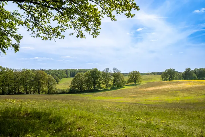 Blick auf die Felder
