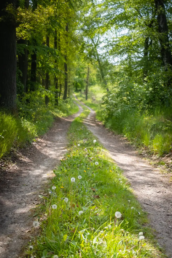 Herrlicher Wanderweg an den Feldern