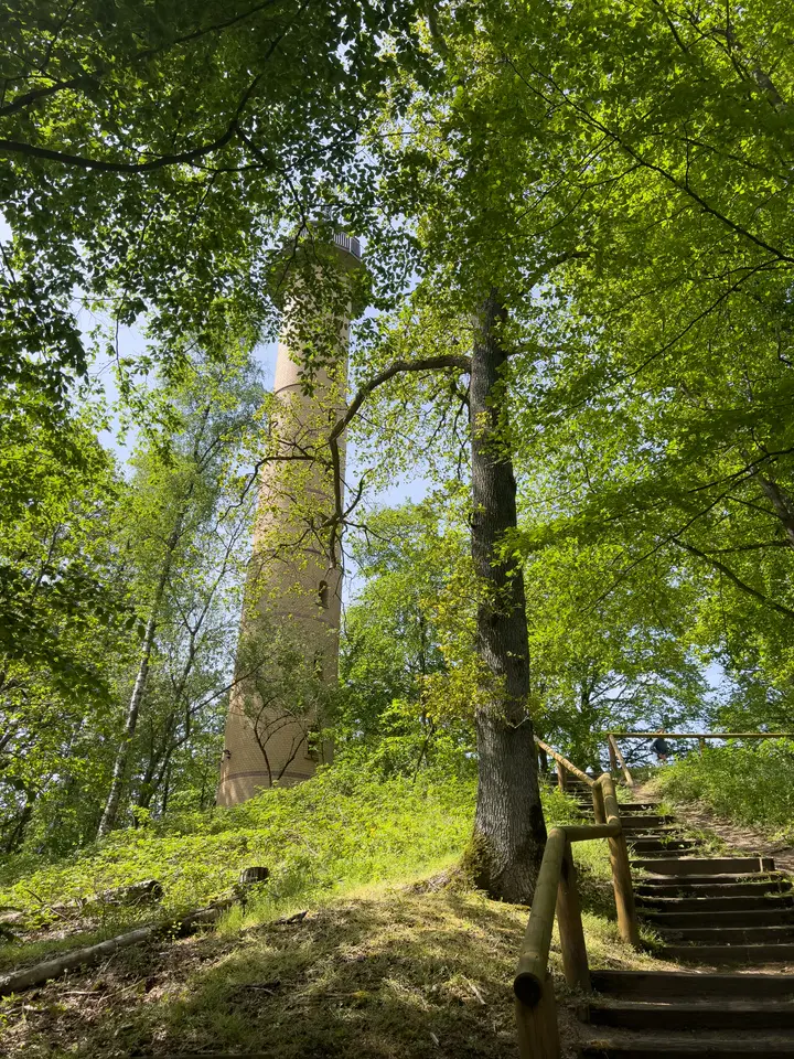 Aussichtsturm Ruhner Berge