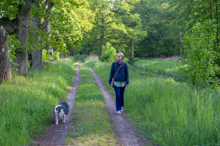 Eichenallee Friedrichsmoor