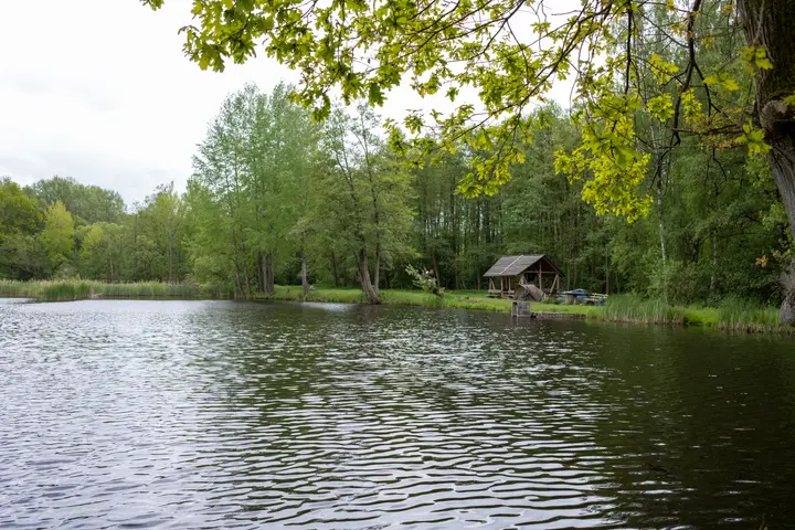 Rastplatz am Karpfenteich Voigtsdorf