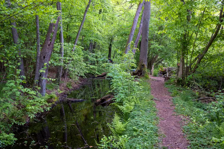 Wandern an der Wocker