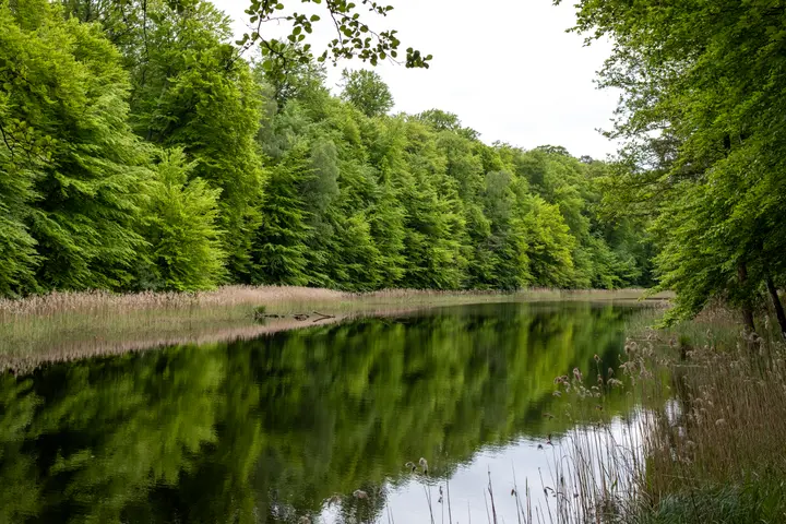 Der obere Karpfenteich