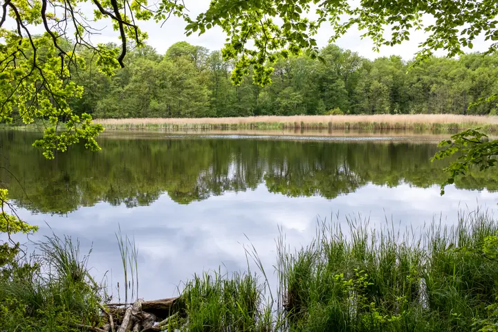 Der obere Karpfenteich