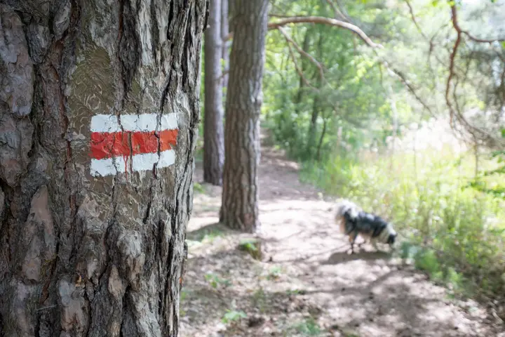 Wegweiser des Seerundwegs: roter Balken auf weißem Grund