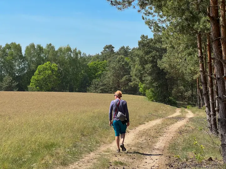Über Feldwege und Kiefernforste am Dranser See