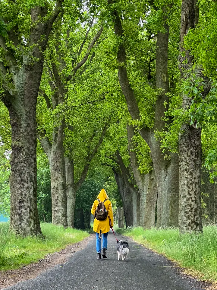 Unter großen Bäumen: Auf dem Nonnenpfad bei Heiligengrabe