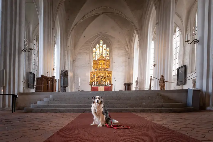 Milli in der Kirche