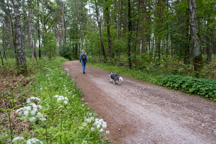 Schotterweg zur Plattenburg