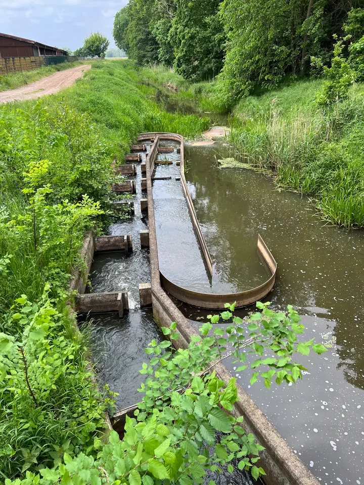 Fischtreppe an der Karthane