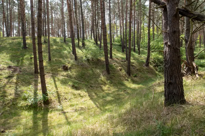 Der Schwarze Berg am südwestlichen Ende des Fenns