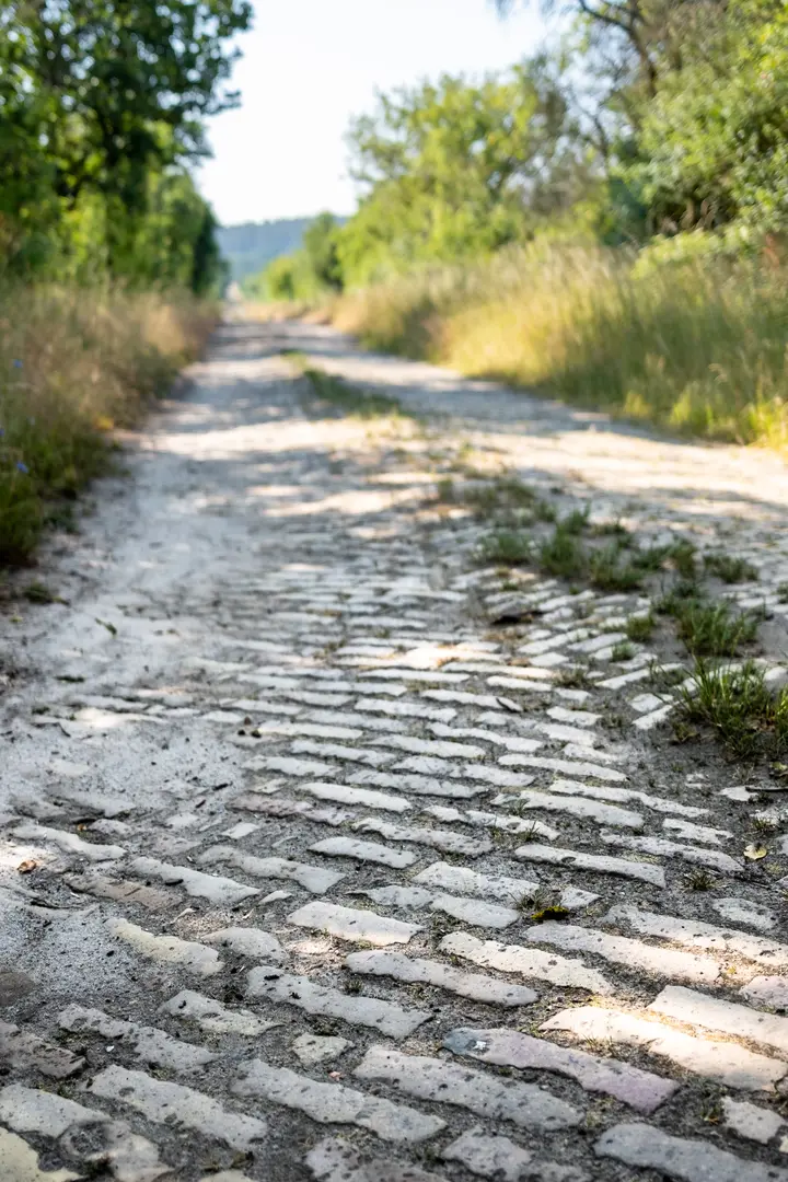 Alter Ziegel/Klinkerweg am Beetzsee