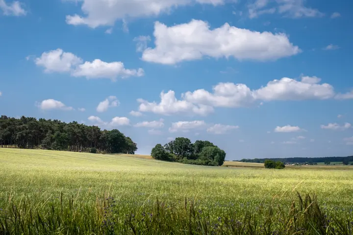 Felder vor dem Hasselberg am Beetzsee