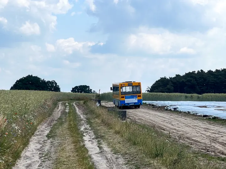 Spargelfelder hinter Ketzür