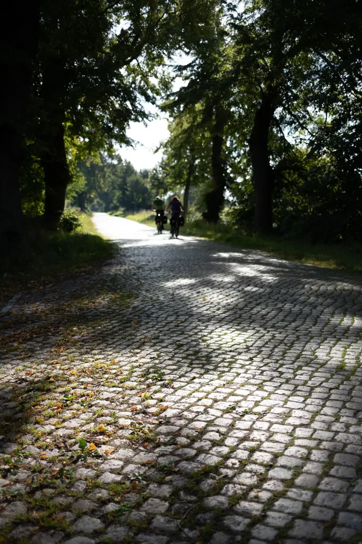 Fieses Pflaster: 20 Kilometer Rüttelweg auf der ehemaligen B105