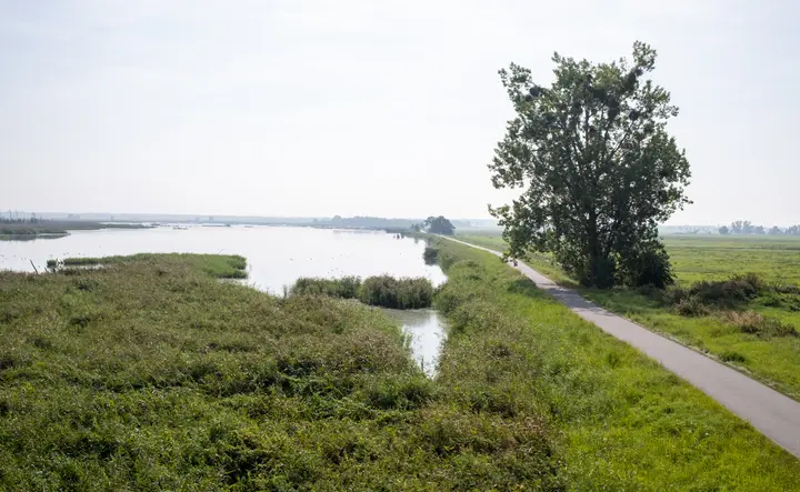 Das Naturparadies am Anklamer Stadtbruch