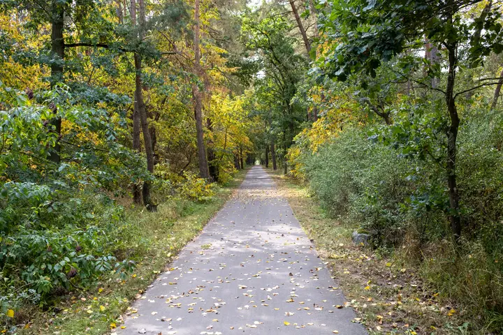 Heimfahrt, Herbstzeit