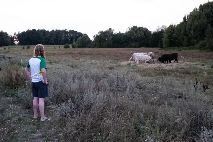 Weite Wiesen, glückliche Kühe, himmlische Ruhe: Alte Gärtnerei Annenwalde