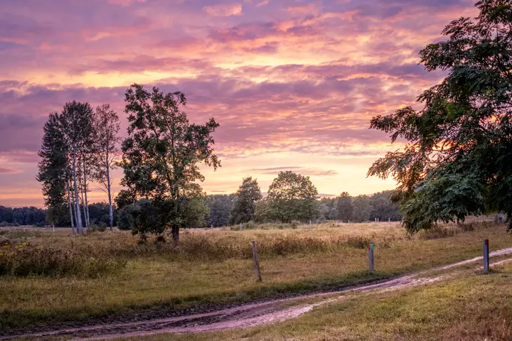 Abendstimmung auf den Weideflächen
