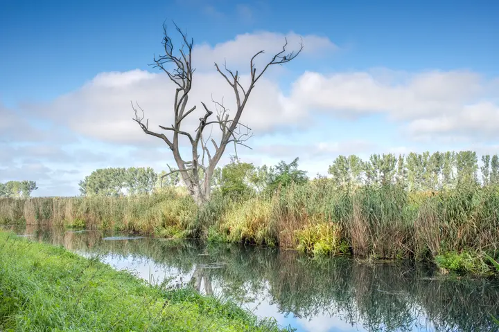 Flusslauf des Rhinkanals