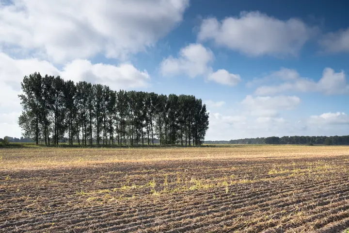 Äcker und ein weiter Himmel - das Rhinluch